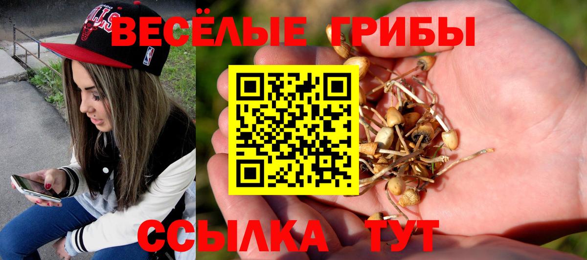 Псилоцибиновые грибы Magic Shrooms Будённовск