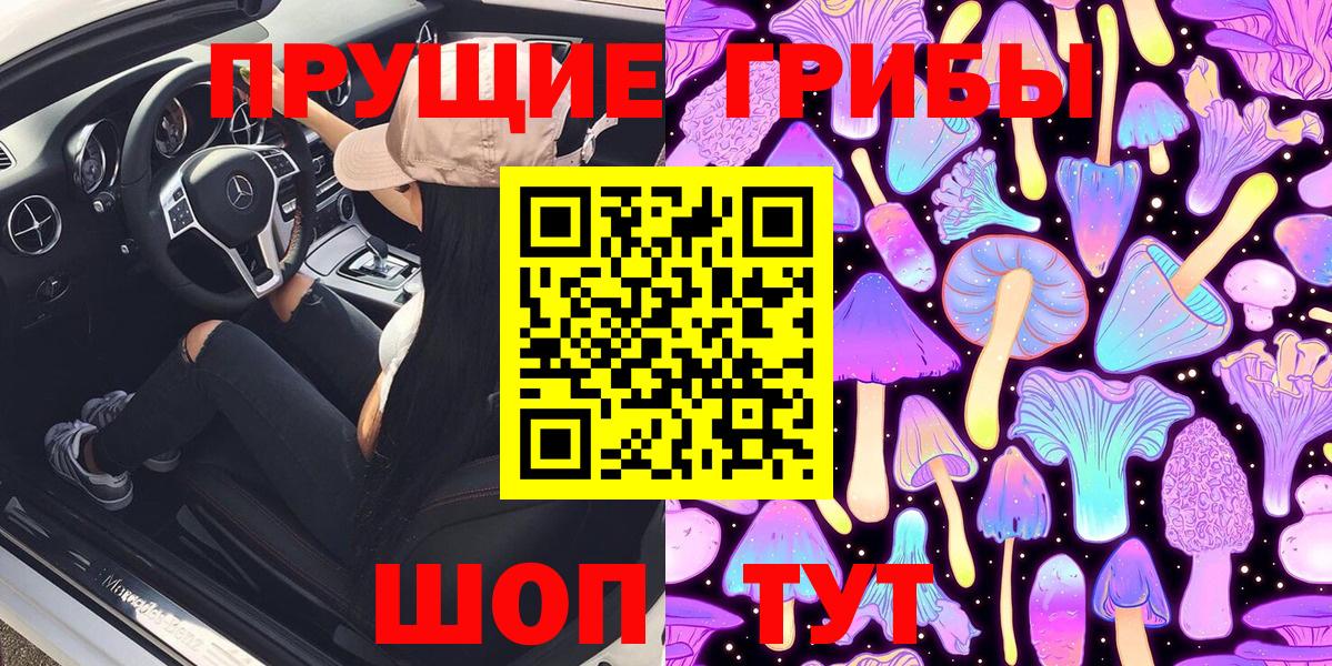 Галлюциногенные грибы прущие грибы  Будённовск 