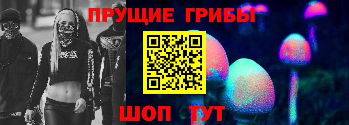 Псилоцибиновые грибы Cubensis  Вход с VPN  Будённовск 