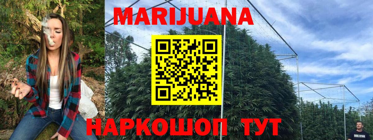 Каннабис сатива  Бошки марихуана план  Шишки марихуана VHQ  Будённовск  Бошки марихуана марихуана 